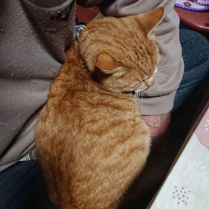 27445414 14f6 4ff9 8032 1a0f2162e90b 1575973200041