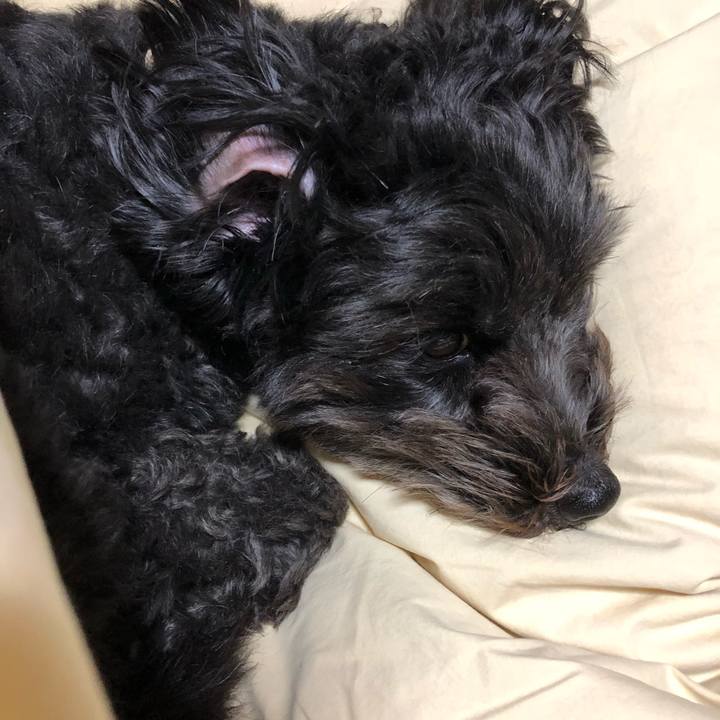 27445cfe aad2 4bc9 a8da 18a40ab4369f 1519377848954