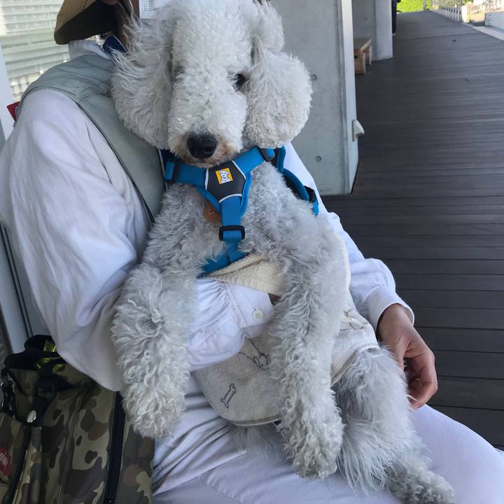 27447551 bead 4f8b 881f b9f65f84b8f3 1619243542776