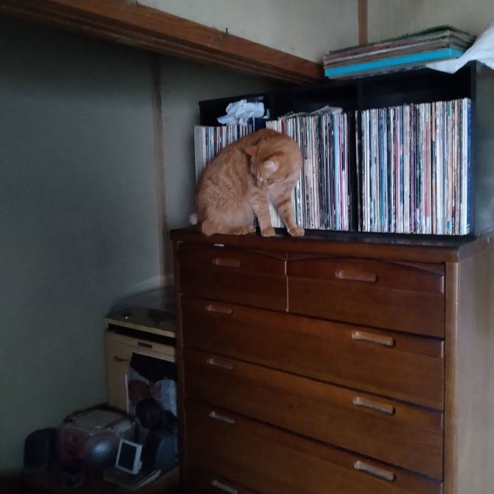 27449685 1f57 4b63 9207 c8b684897b26 1732263216513