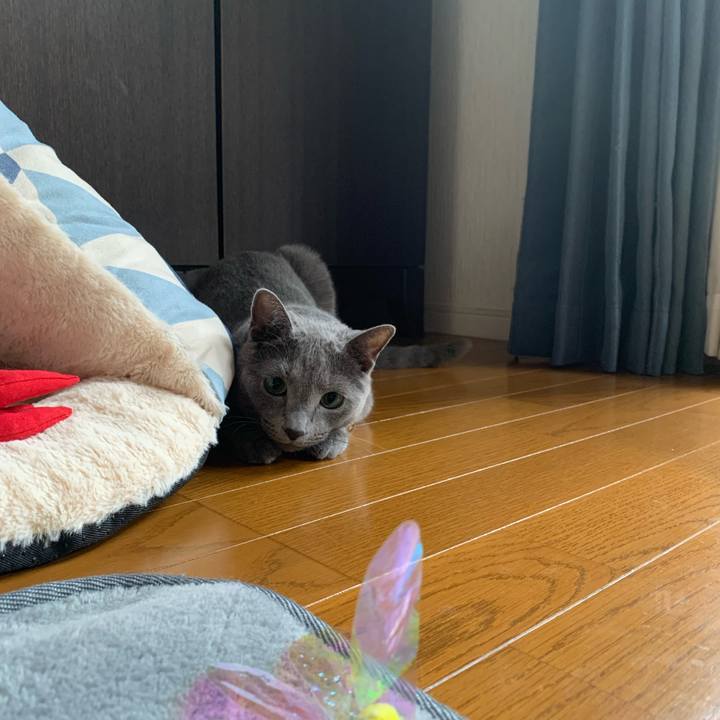 274496fa da68 4f2f 881b 4a774193d5bc 1626318079500