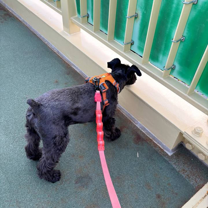 2744aa76 a2cd 42a3 bf70 2f526f7cc77f 1758591267803