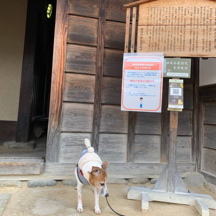 2744d280 a413 4a75 9765 c2889d29ee57 1583030692112