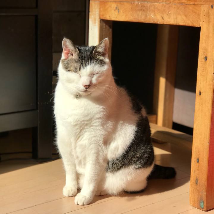 274504a4 31c4 4ac6 af51 f7d37fde9eac 1518160941974