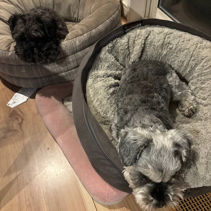 274513ef a0cd 491b 8e46 e70c4fad3c73 1711688580984