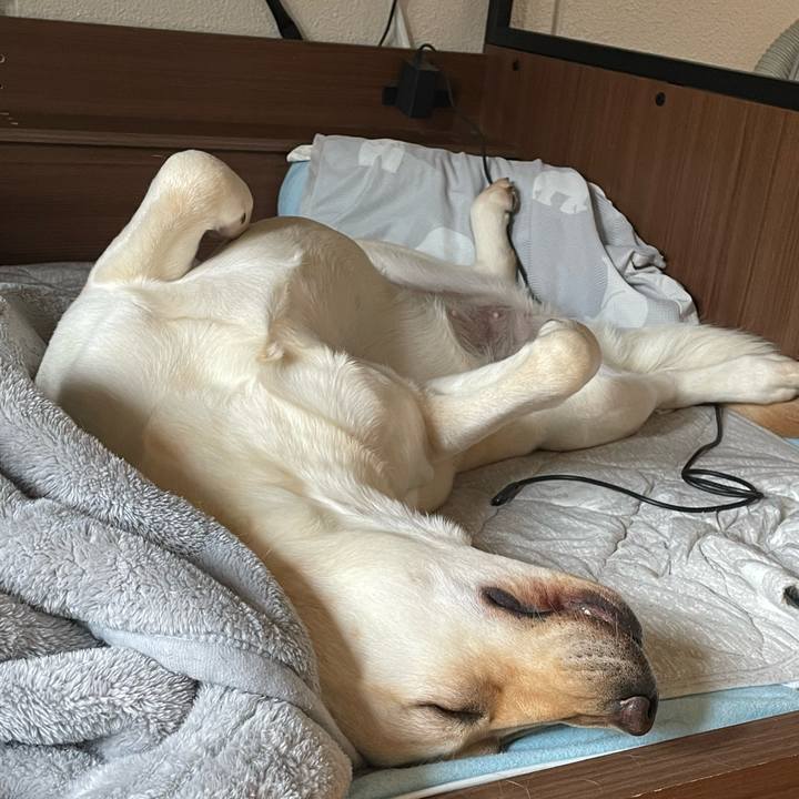 27452bfc d0ea 4c30 b713 027807423d73 1652760023287