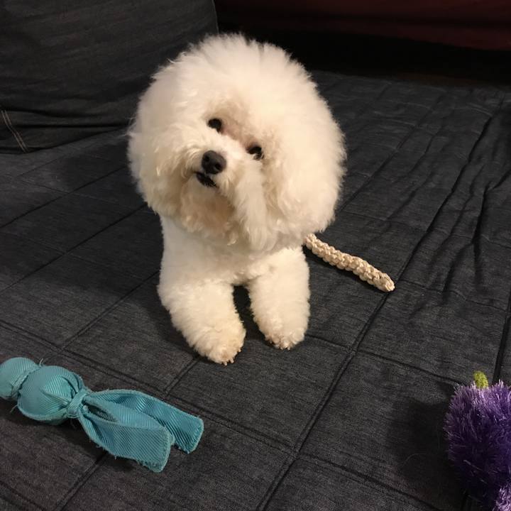 27453868 b6a9 4b6d 8487 2cae169637f7 1532338492012