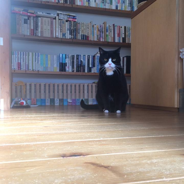 27454627 7002 49aa bc7b 279ad1f83842 1515043886790