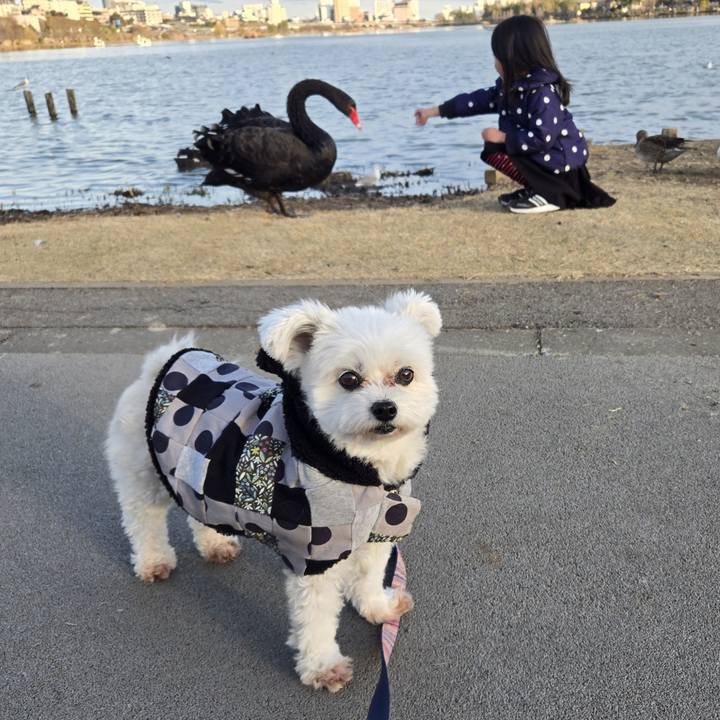 27456bd9 0b08 4e94 a81a cf14c7fd3c75 1765639298624