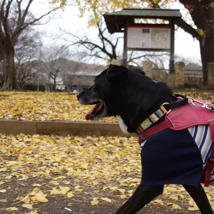 2745cd04 dbd8 47ae b57d 1617cd4352c4 1702691625190