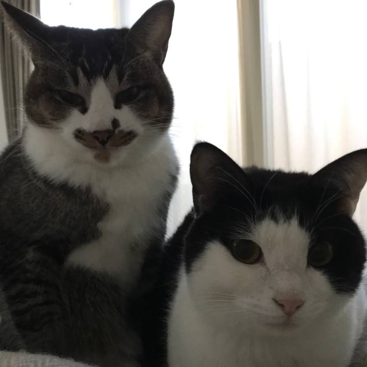 2745d88a e8fb 41a2 9efc dc69ec80239f 1515667575325