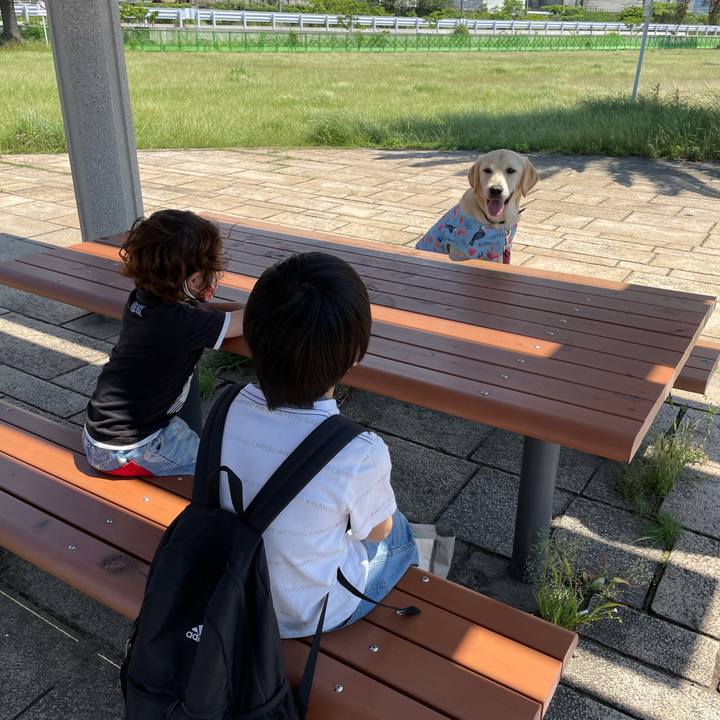 2745fc16 544b 48ce 84bf 1bdd99ad6249 1621672420148