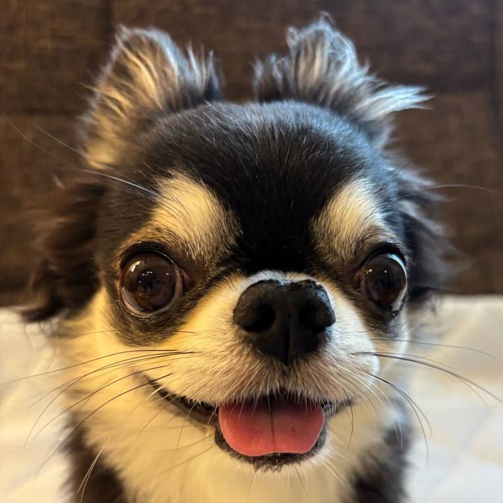 2745fee7 edb1 4ebf bf61 456ac21fcfab 1751668991958