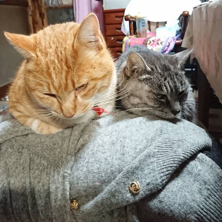 2746091c 9973 4b93 9baf f9912825f0be 1575669871560