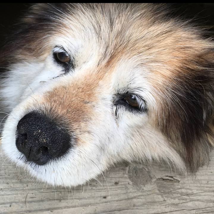 2746310d 9242 4d4e 8b21 f1bb93000790 1592227555016