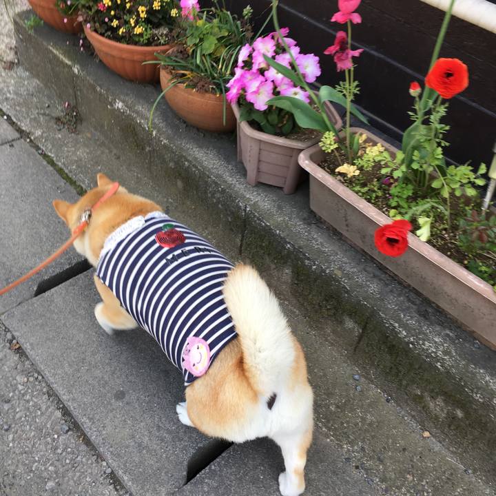 274634e4 b7bd 4f8f 871c 46eb9f744985 1556427899539