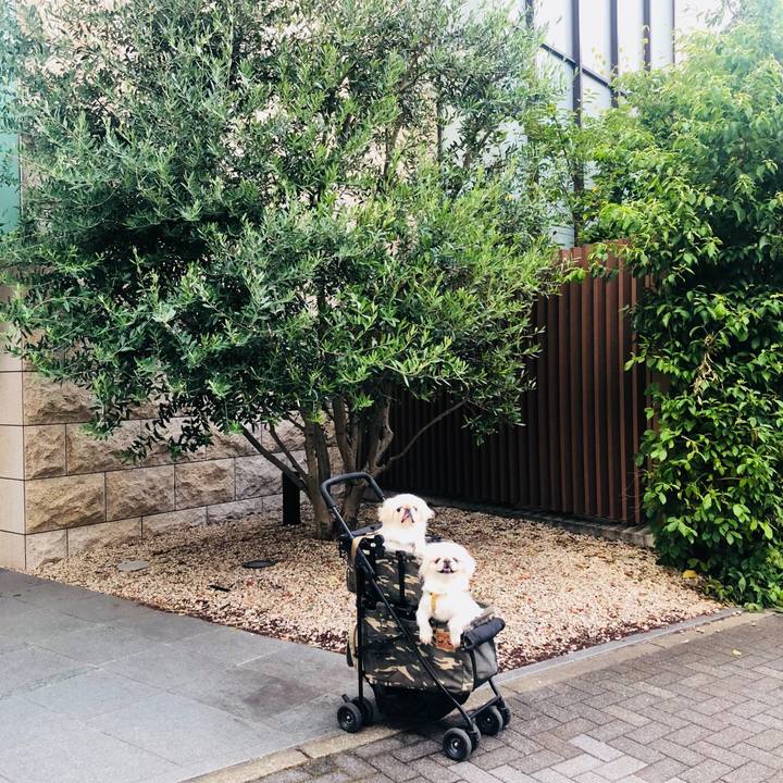 27463eda f109 48dc 9ccd 10b23c365a0e 1598915126192