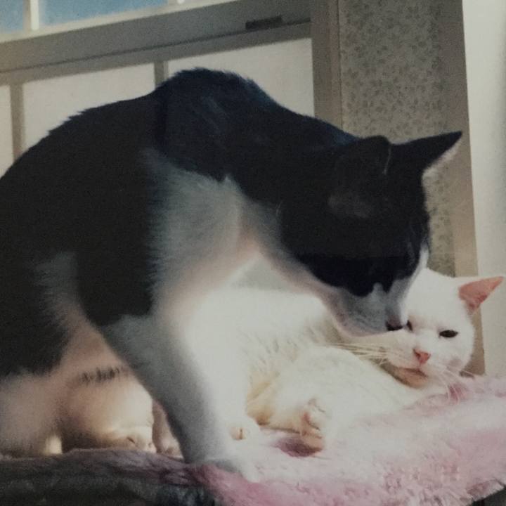 27464217 0c36 4b6f b33f 02136807172e 1515289487252