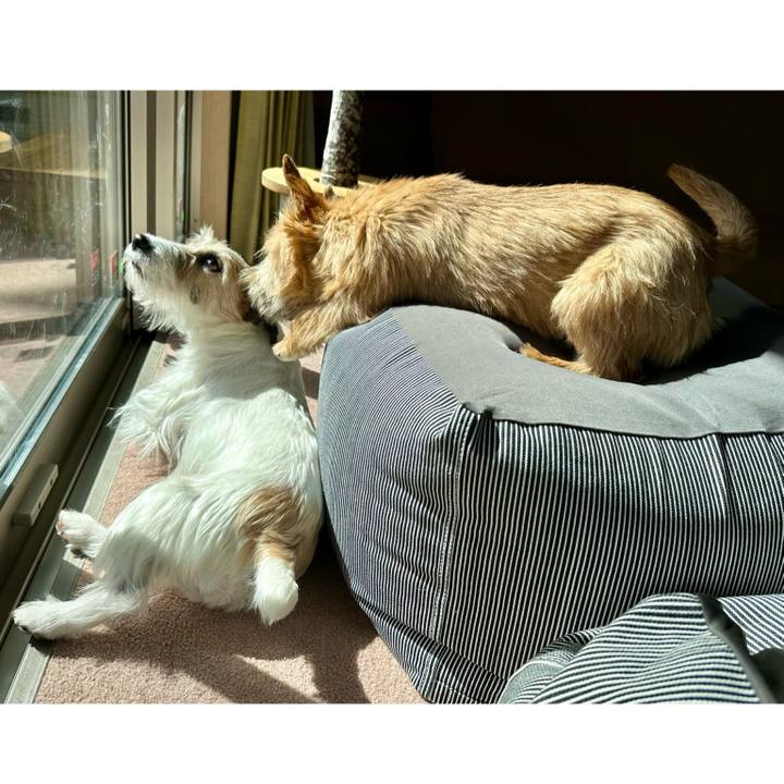 27464ae9 ae13 4432 8c94 8ae116fa36f9 1710747803279