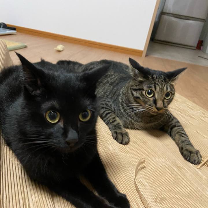 27468a52 2f37 4a77 9723 38414283a0c1 1630754354644