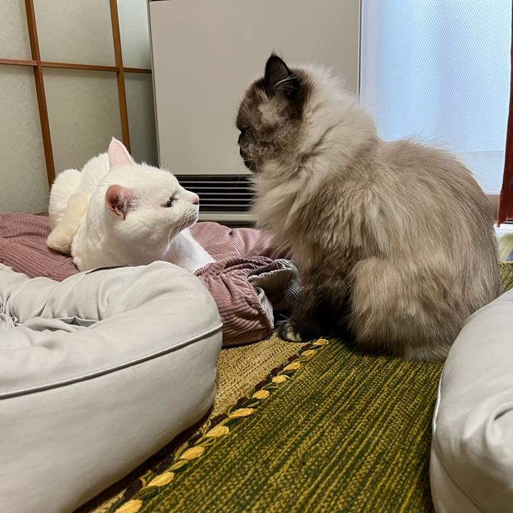 274693ad 8a7c 43b3 a14e 7dd93591d32e 1670853560140