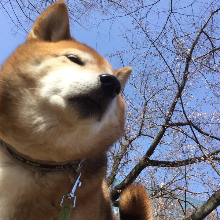 2746a04f 2818 4256 abc6 a4e274828851 1616038736906