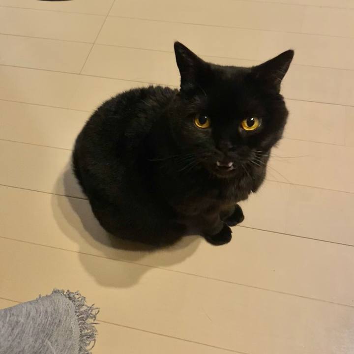 2746ec3a 273c 406f b957 1277838d5187 1746626428260