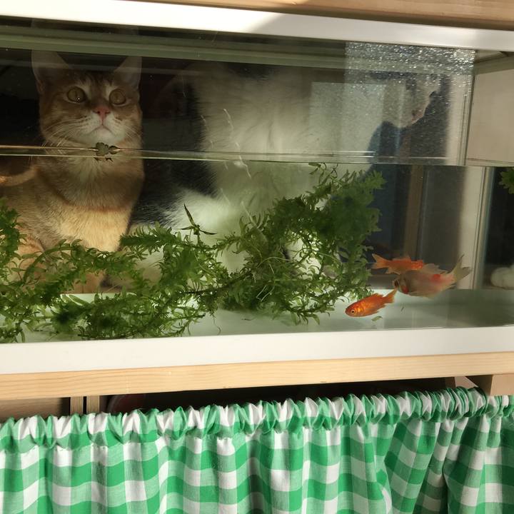 27470c24 52c9 4c7a aaa2 e5428b2815a9 1515995463866