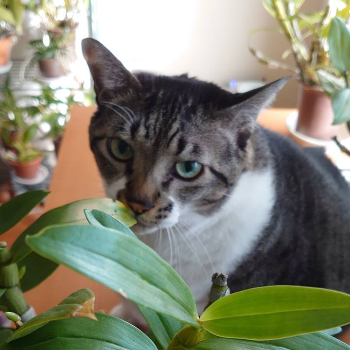 27472868 7608 4a45 a9d2 1630cd51c9b4 1607985496309