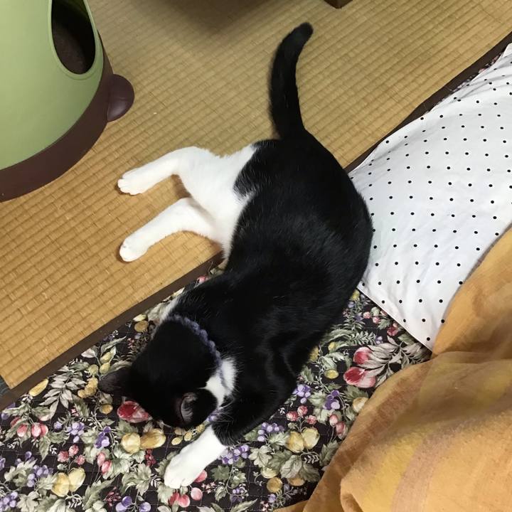 274738bf 6cd8 4db2 9e3f 07f3b7d4c0c5 1640394425094