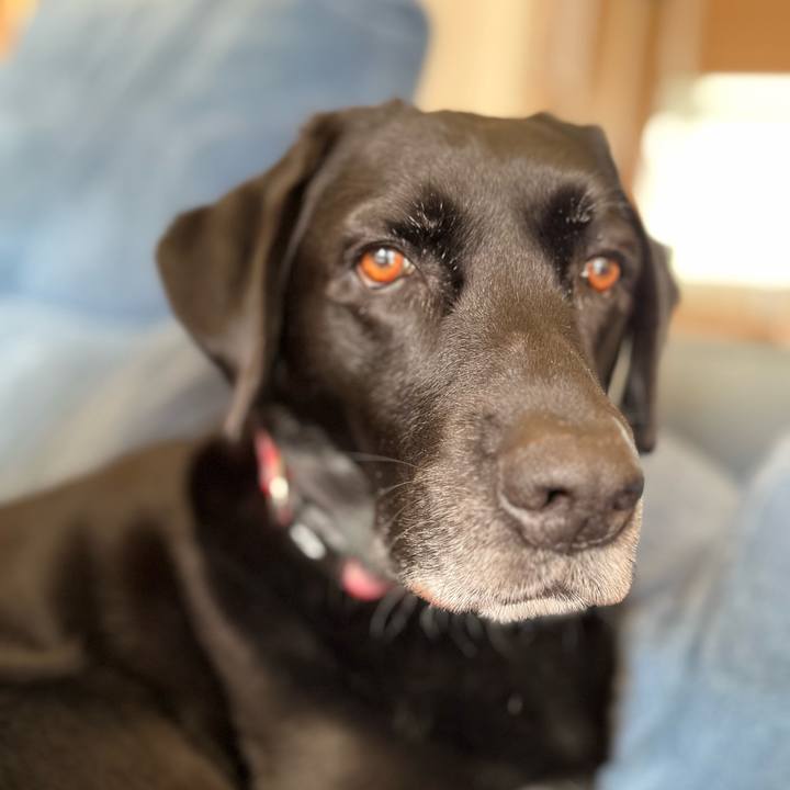 274761e1 3959 4fc9 b360 242aef8a28dd 1704422701312