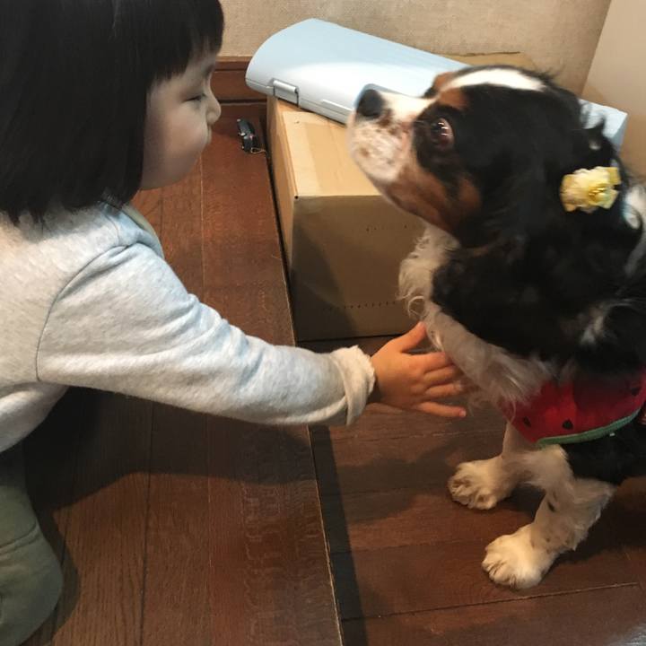 2747a0d3 cfdf 48c9 81c1 b7f4a67fe639 1522816016277