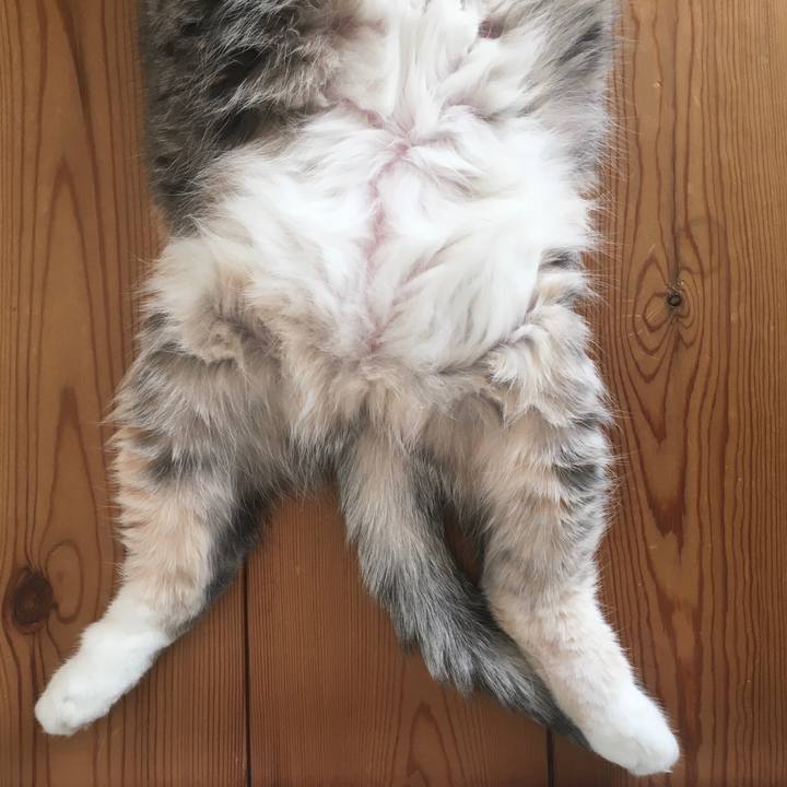 2747e634 1ed5 4bcf 974f 6504cf05c6d1 1582282023467