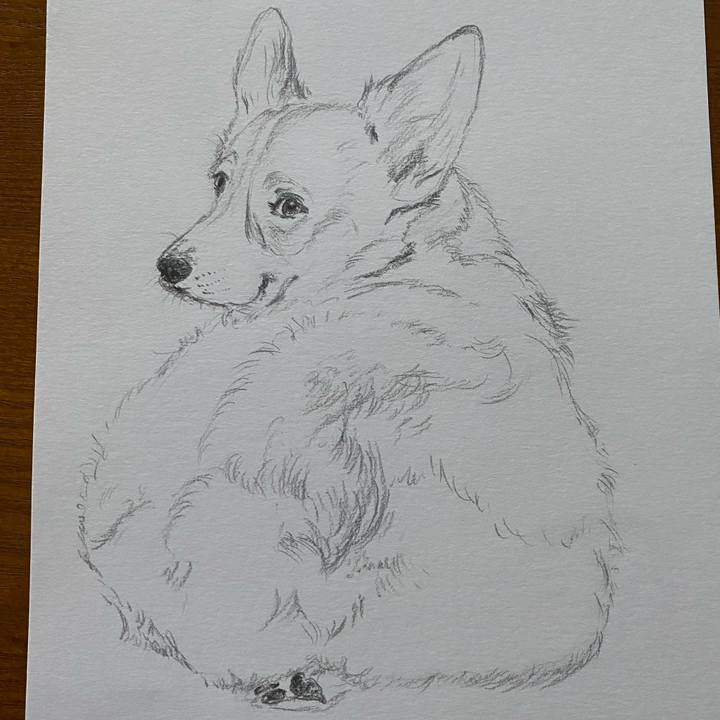 27484fd8 d44c 4f1e 9b70 450452a75c9d 1639918123283