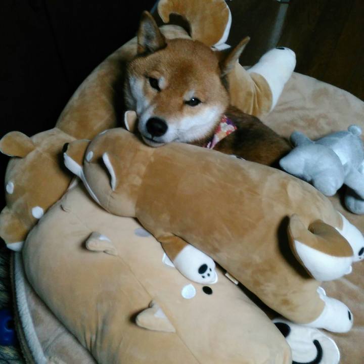 2748577d 3ab6 4477 9e5d bc18327ee338 1516006595612