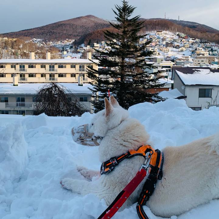 2748993c d027 42e6 ae88 23bf18def463 1675466209716