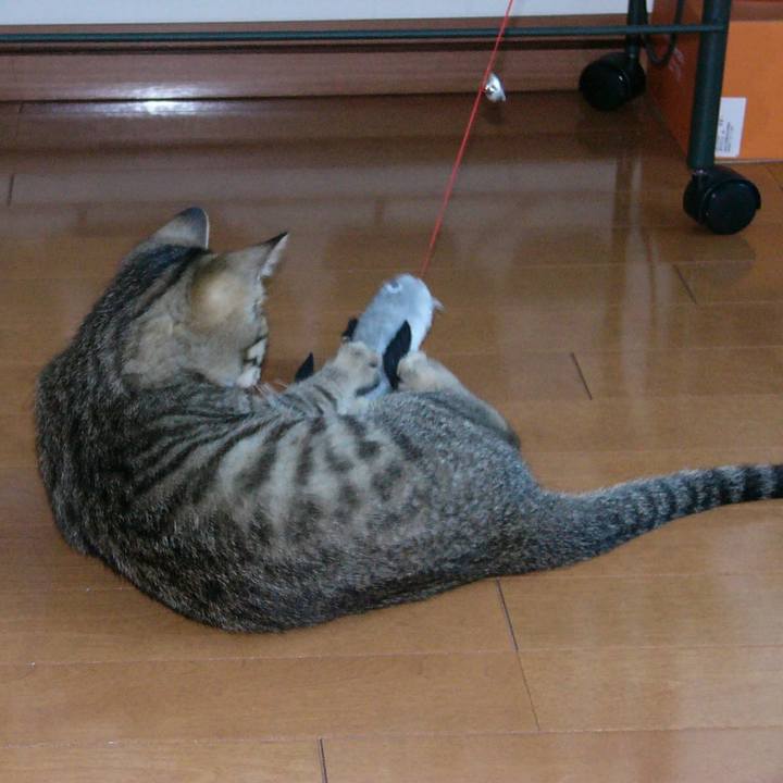 27489a96 8598 4bb8 920f d54f10c21a33 1573913390368