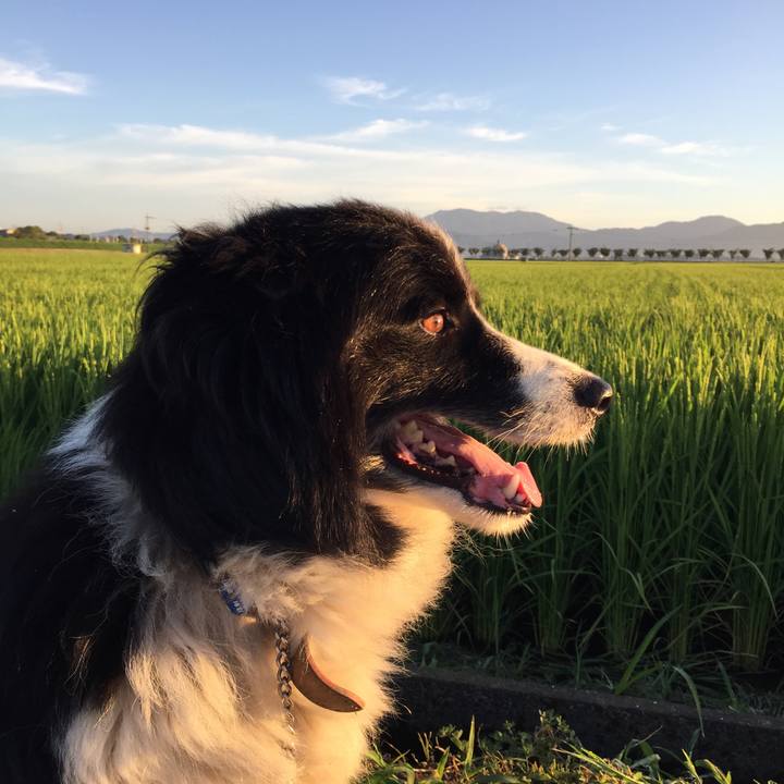 2748b004 e74f 403f b784 48a78138b919 1535232622538