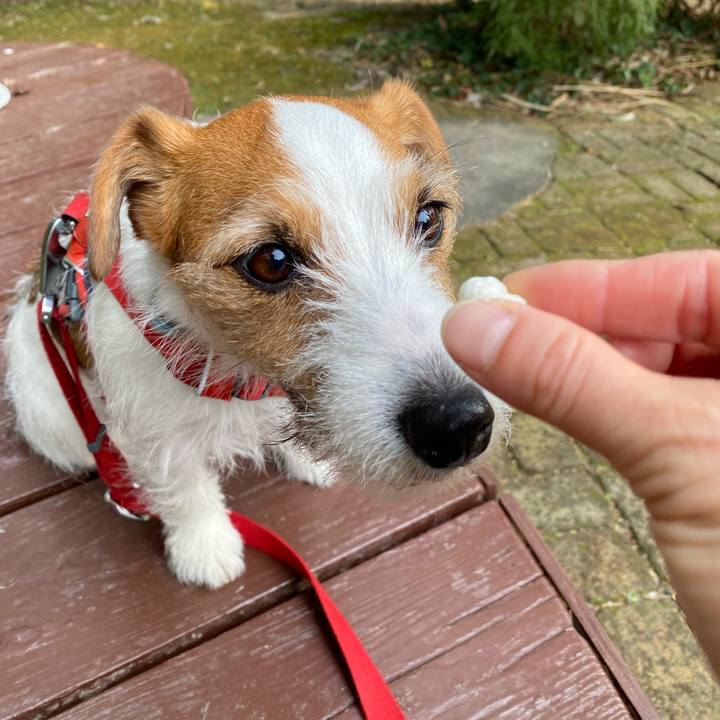 2748c389 2c29 45fd a325 dcb0a1e72776 1739691427889