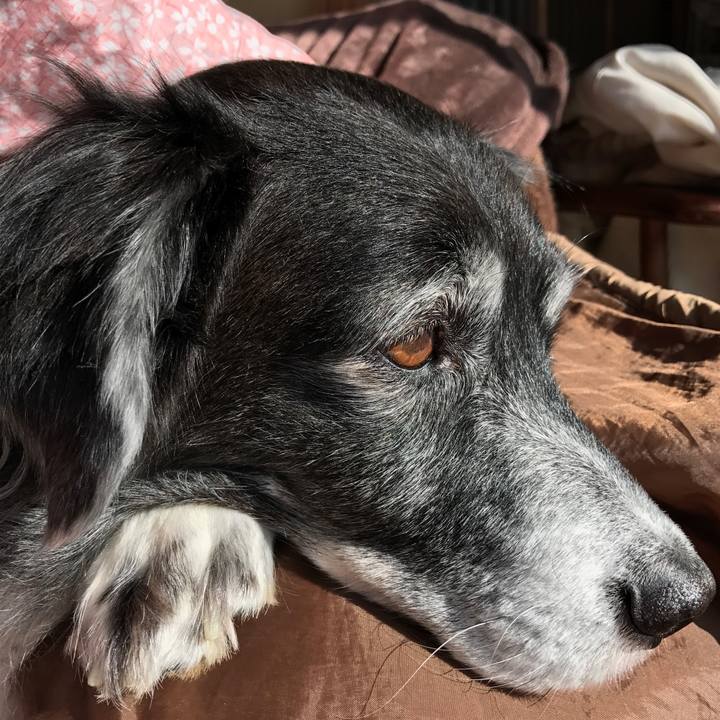 2748dce3 5b3b 430c bb0c 34404e338db4 1514527838120