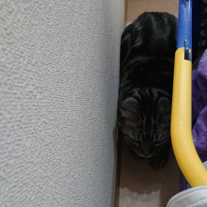 2748df43 1017 4238 8559 2a99ab1cc8e7 1604204755622