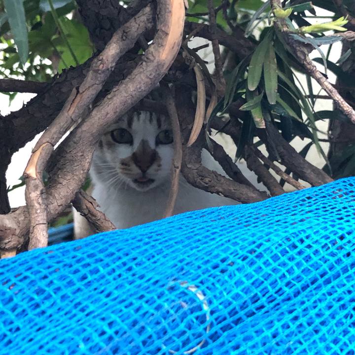 2748f976 6b2c 40fa 8388 c0b36a433952 1556175649105