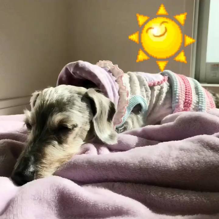 27492a16 913f 41b4 a607 9c88b18edfa4 1520037694611