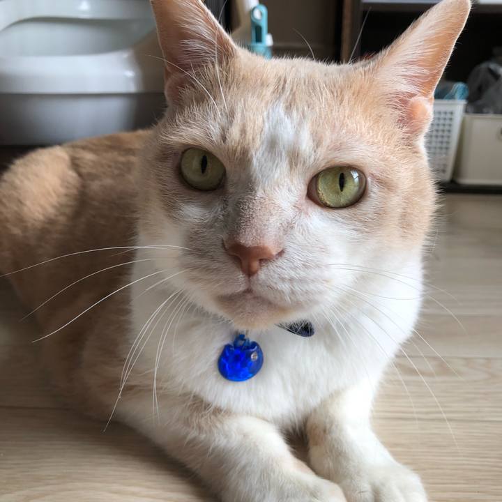 27493729 7022 4df8 90b0 53d4a2dff2d7 1563147344090