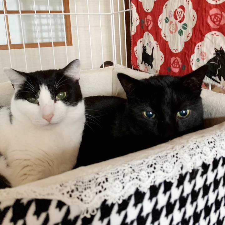 27494227 39cc 40f3 a94b 869e24879356 1551922897006