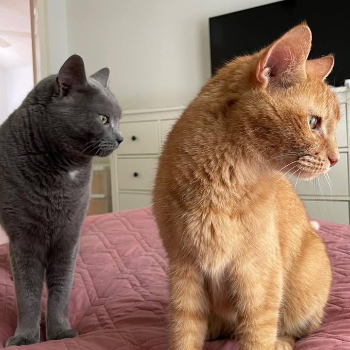 27497f05 5fcd 400f a0a1 fbeee99f98dd 1695090766738