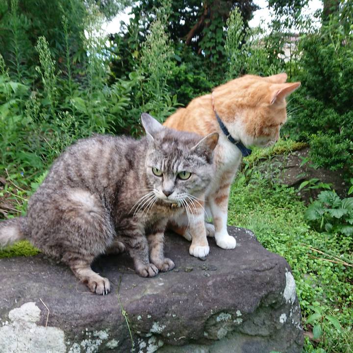 27498764 d69b 40fb 97dd 45619b6743d1 1567286732991