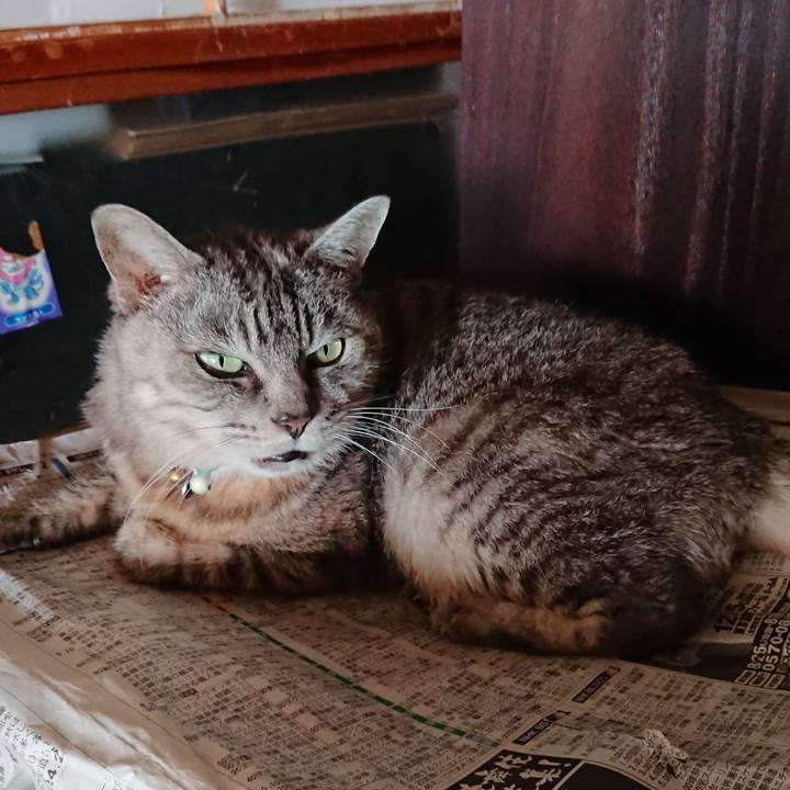 2749997e fd59 4d6e b688 c2320f6d643f 1569203384987