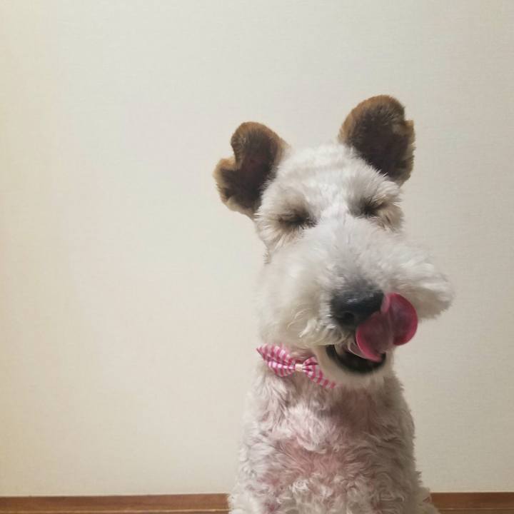 2749cf27 f2e8 4747 bcf5 54fde9d7d157 1591311281419