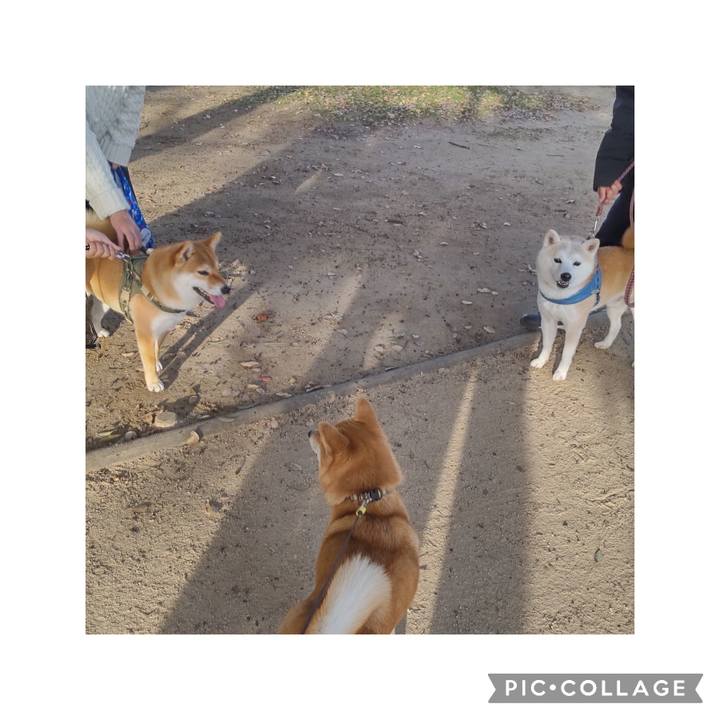 274a1f21 f0b3 406a b5a9 921486d0455a 1702112310440